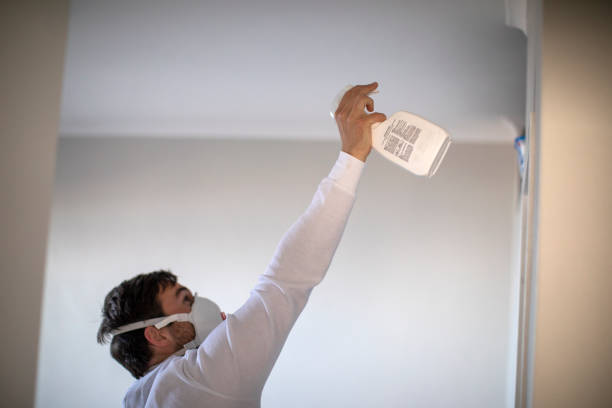 Best Commercial Mold Removal  in Port Republic, NJ